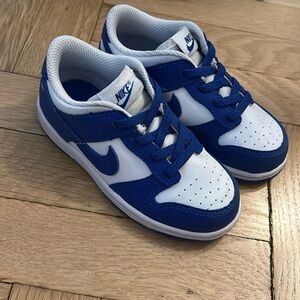 Toddler Nike Dunk Low 9C